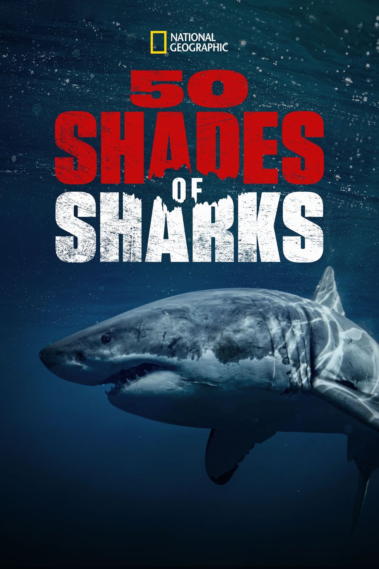 Movie 50 Shades of Sharks