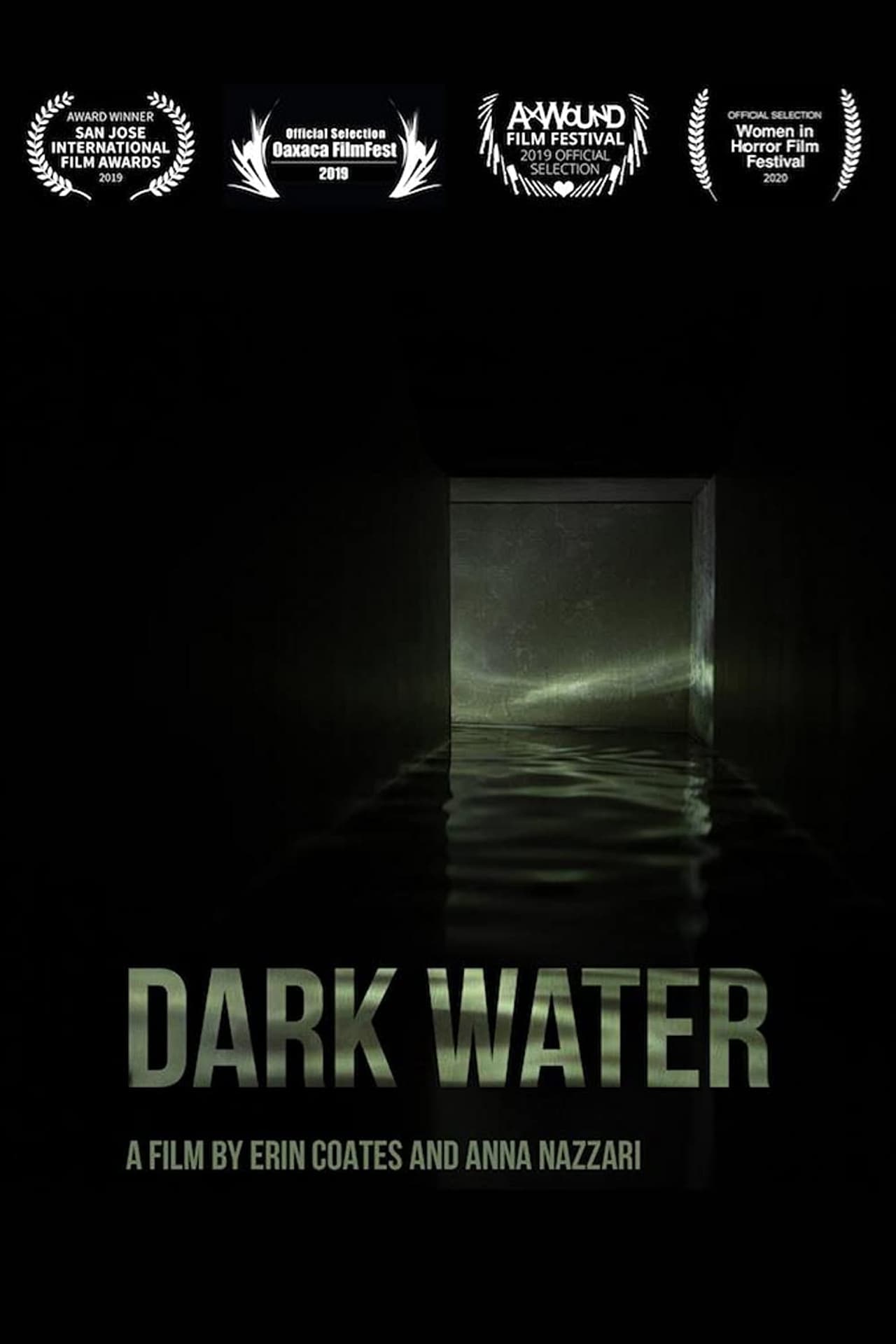 Película Dark Water