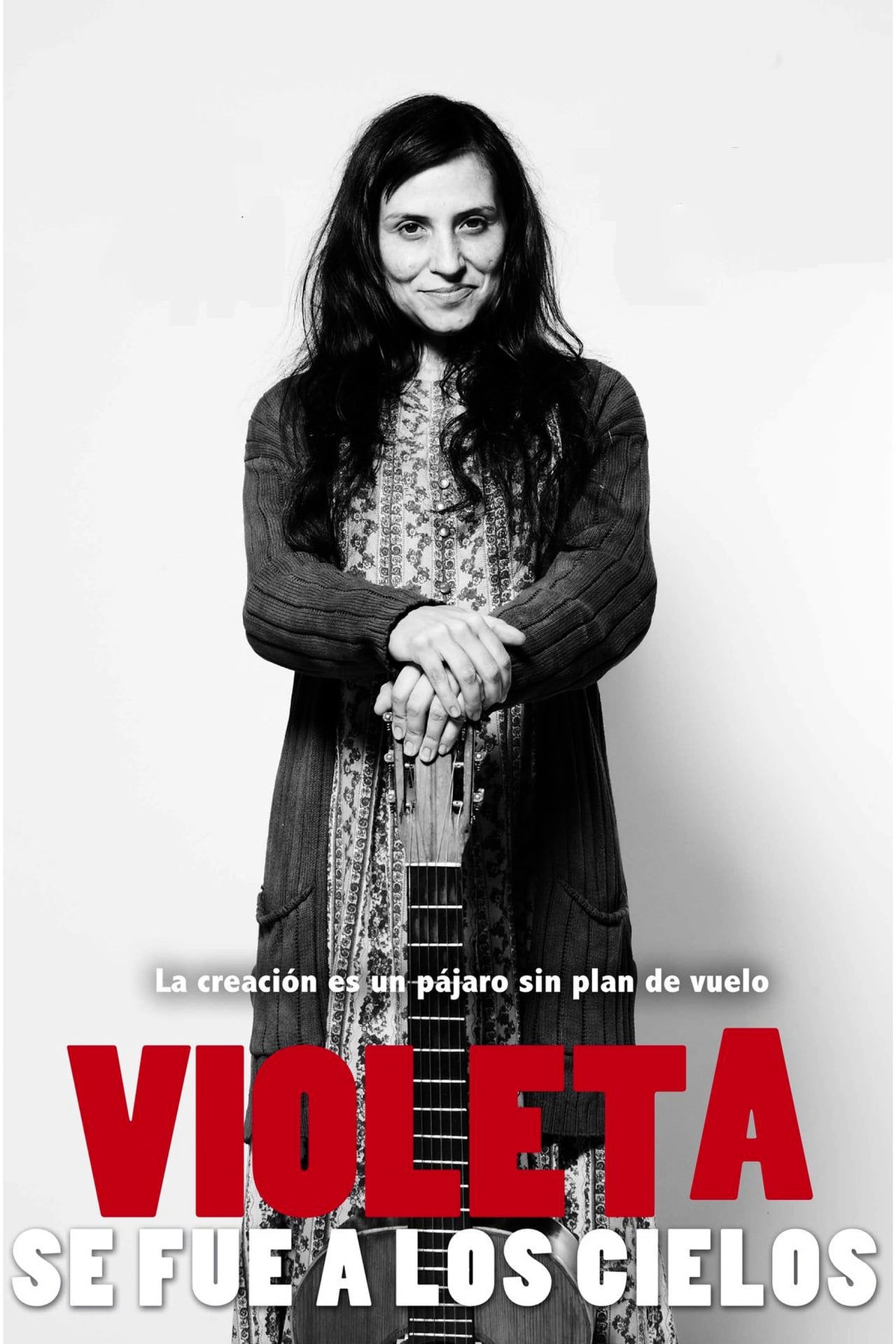 Movie Violeta se fue a los cielos