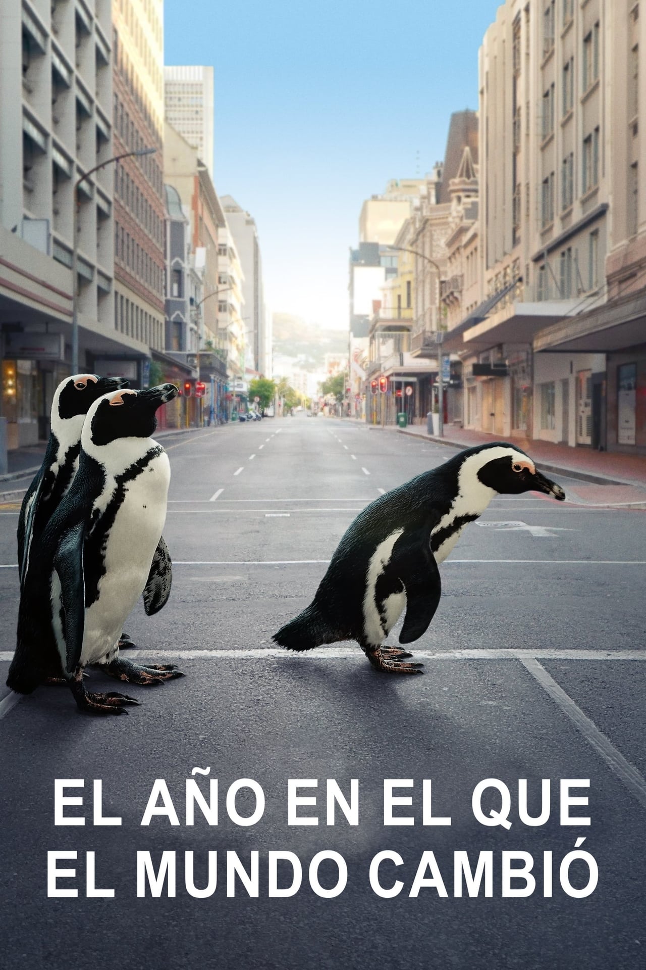 Movie El año en el que el mundo cambió