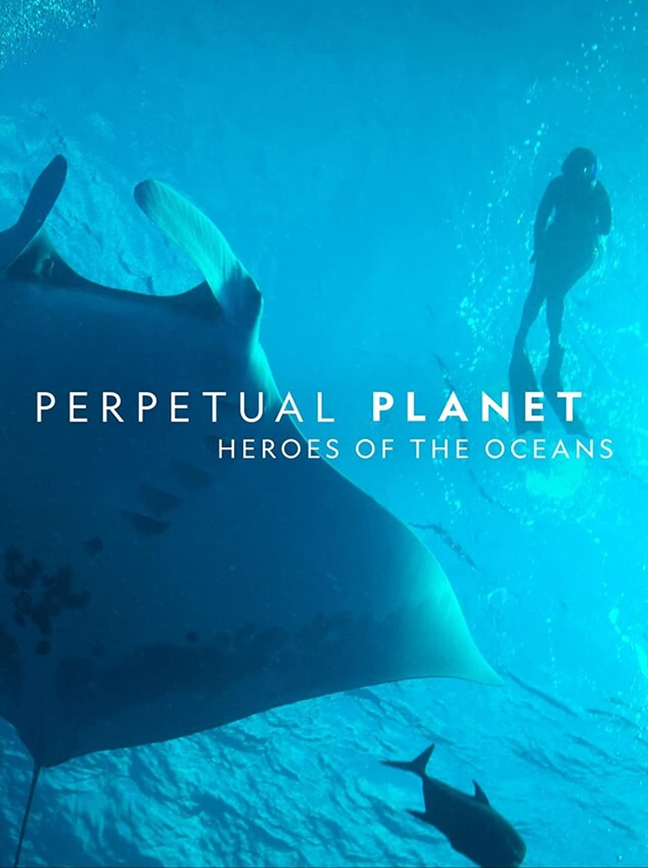Movie Planeta perpetuo: Héroes de los océanos