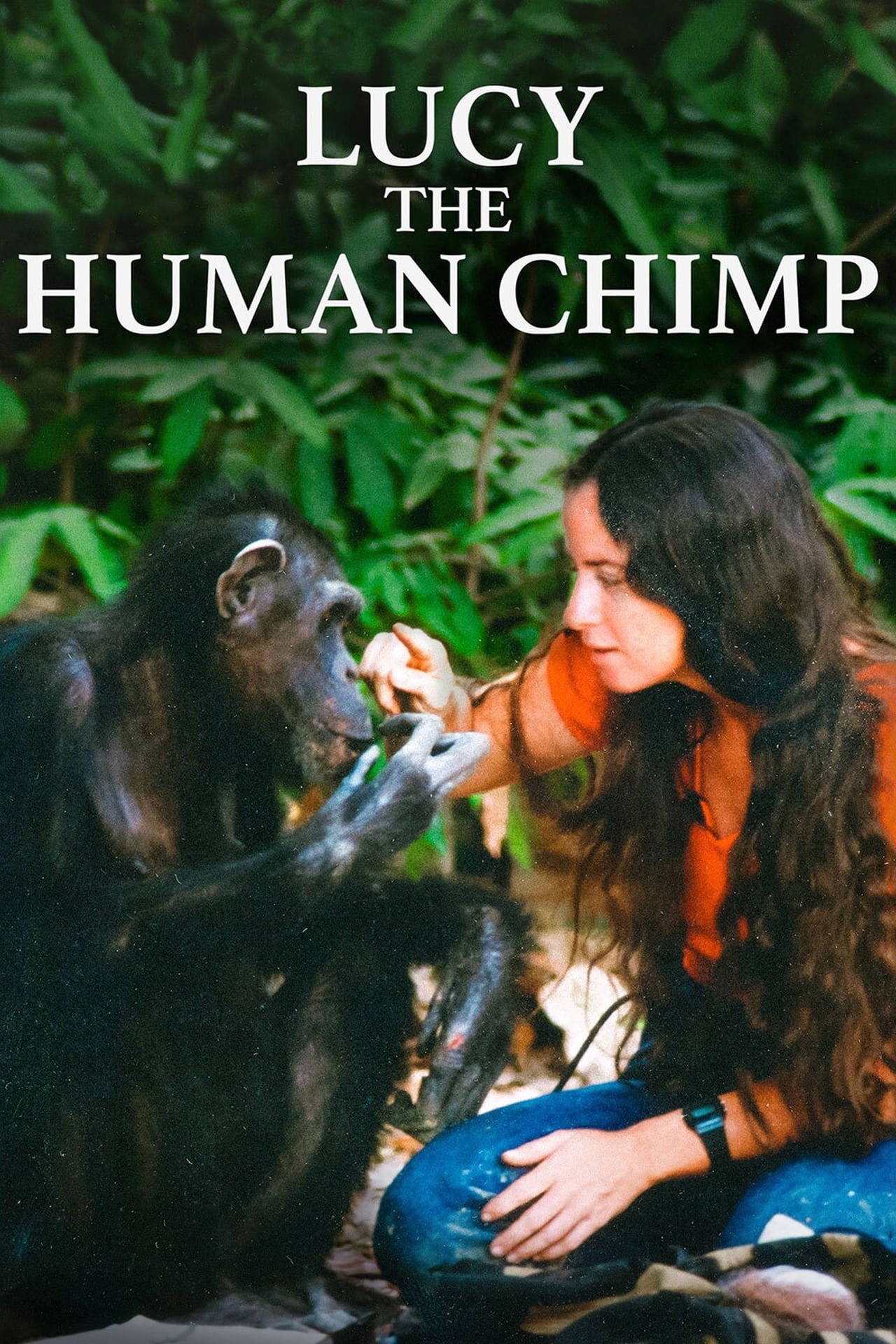 Movies Lucy the Human Chimp