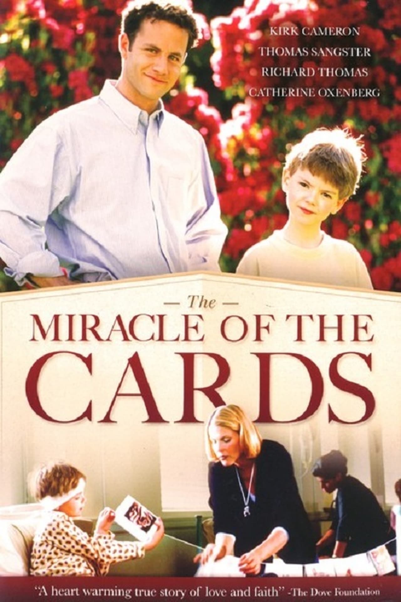 Película The Miracle of the Cards