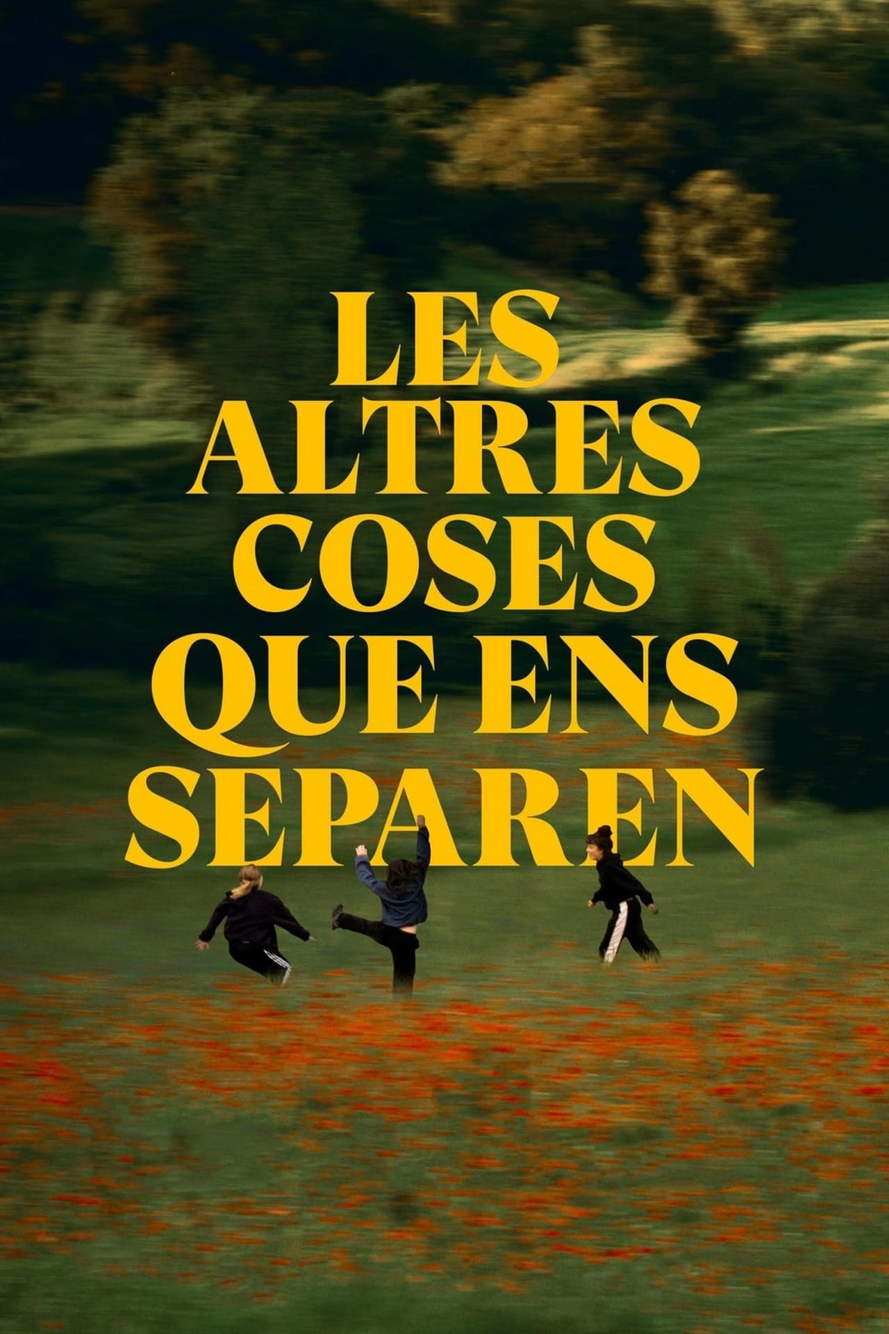 Movie Les altres coses que ens separen