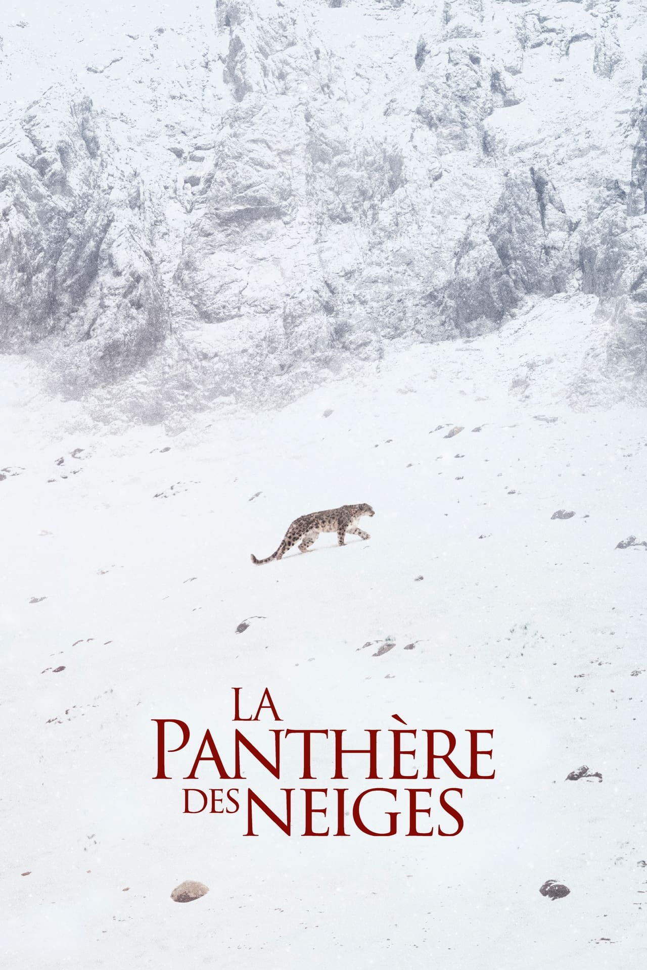 Movie El leopardo de las nieves