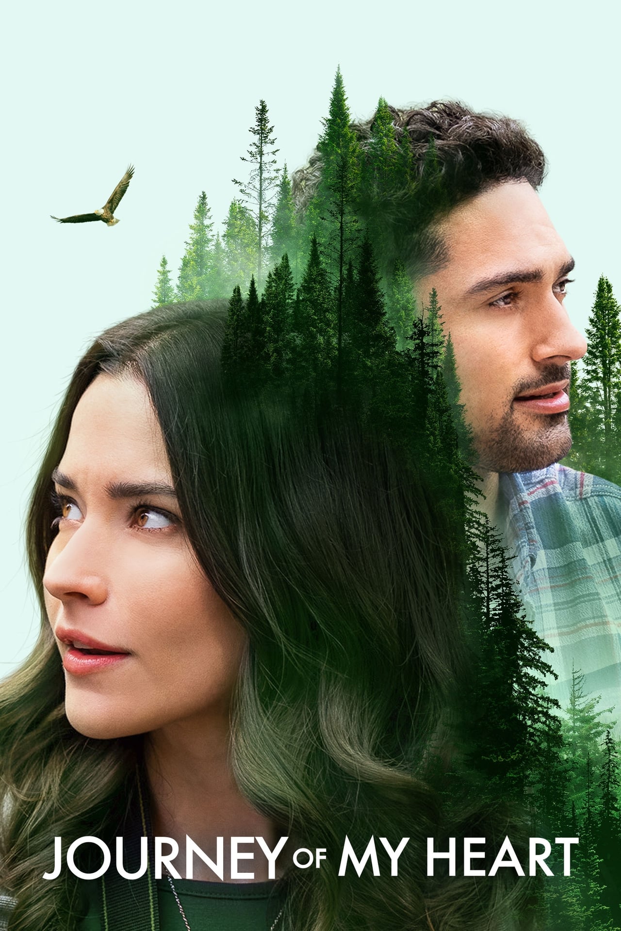 Movie Journey of My Heart