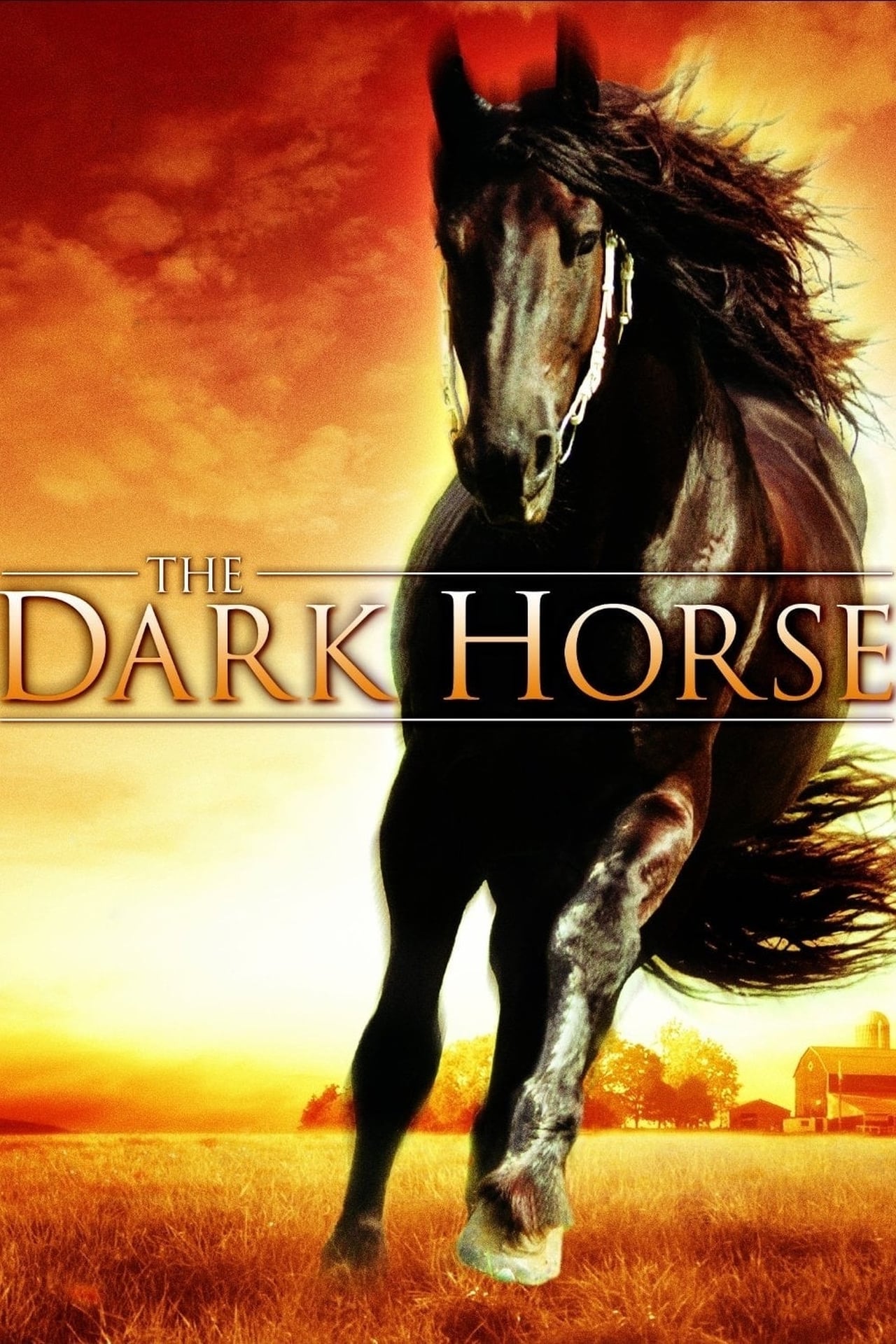 Películas The Dark Horse