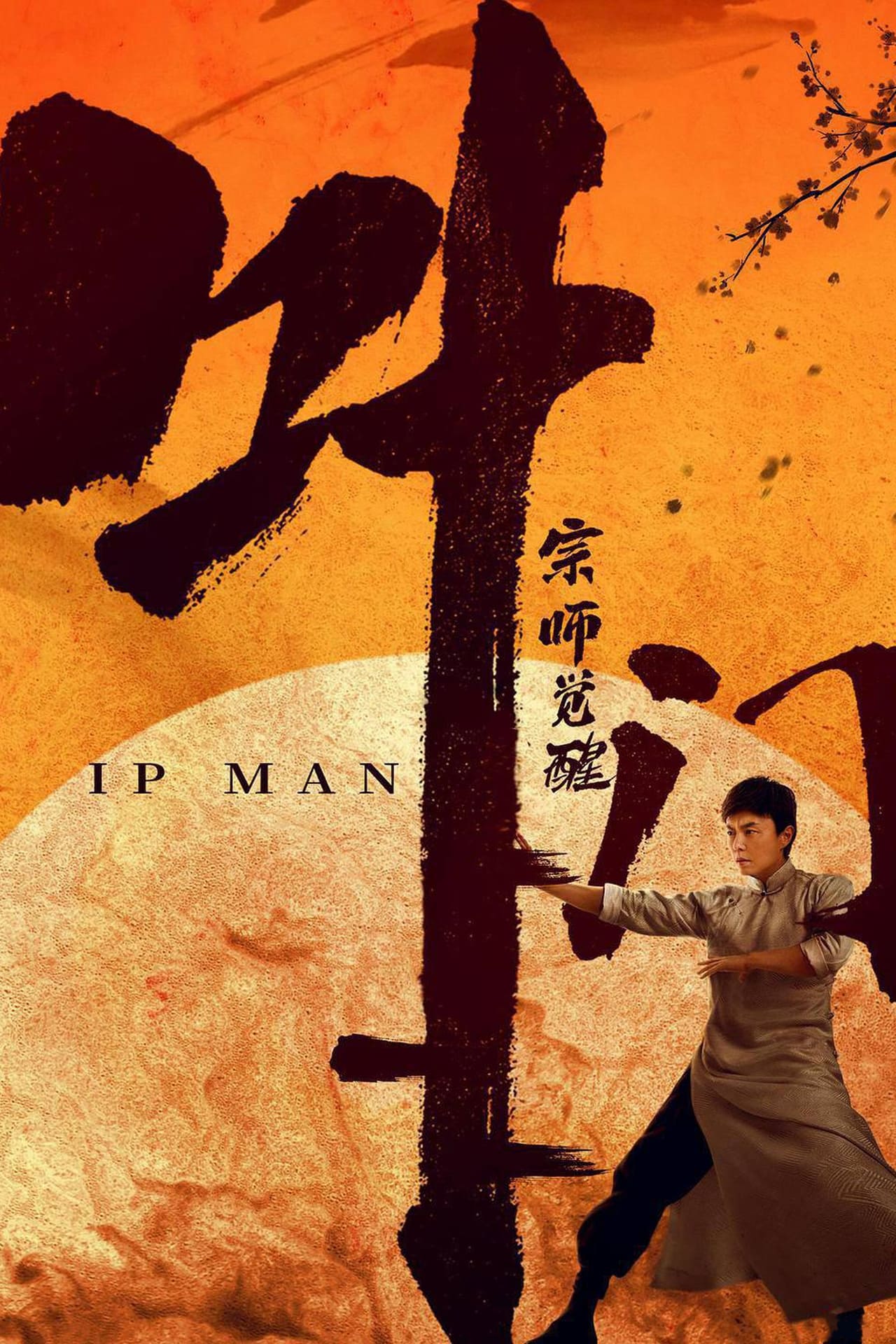 Películas Ip Man: The Awakening