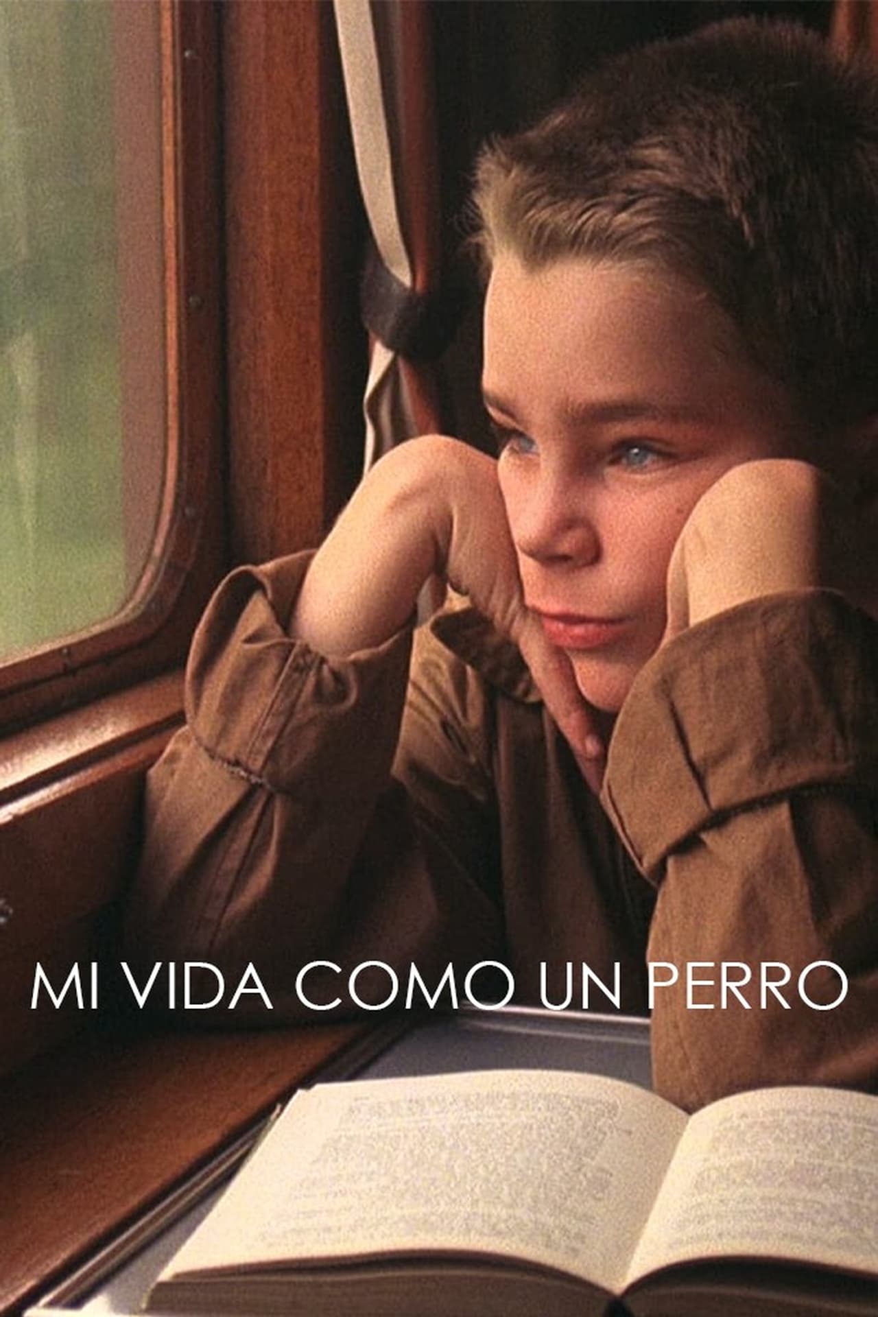 Película Mi vida como un perro