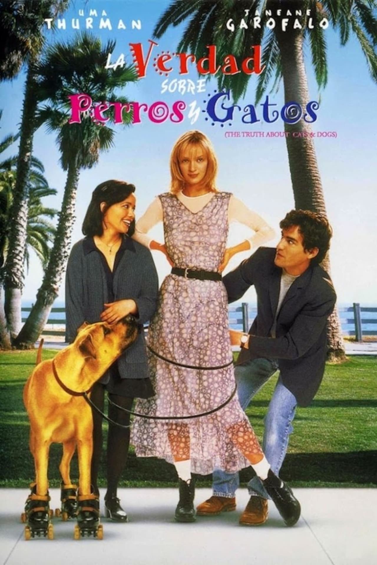 Movie La verdad sobre perros y gatos