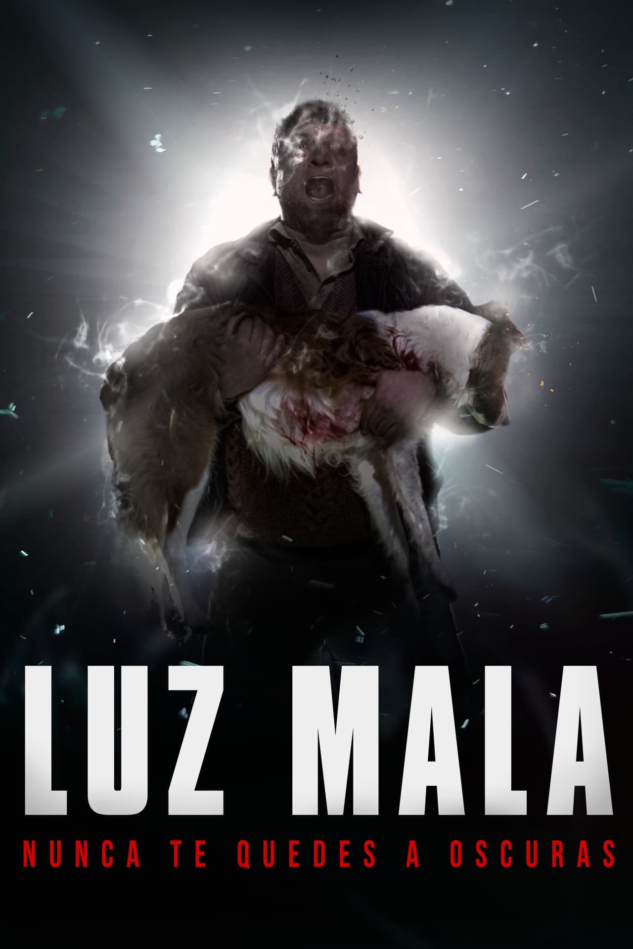 Película Luz Mala