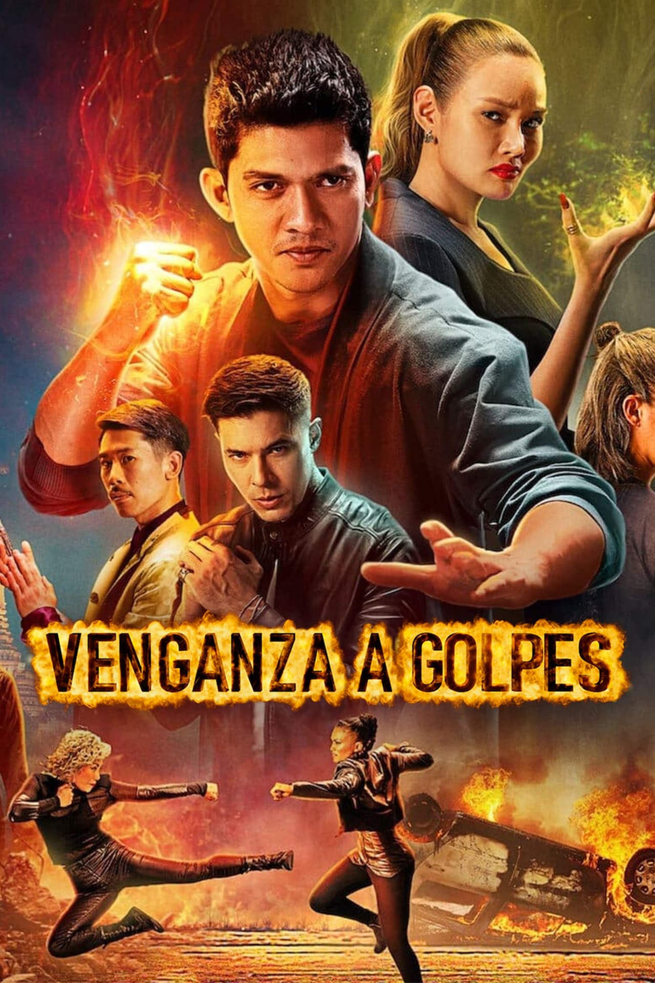 Película Venganza a golpes