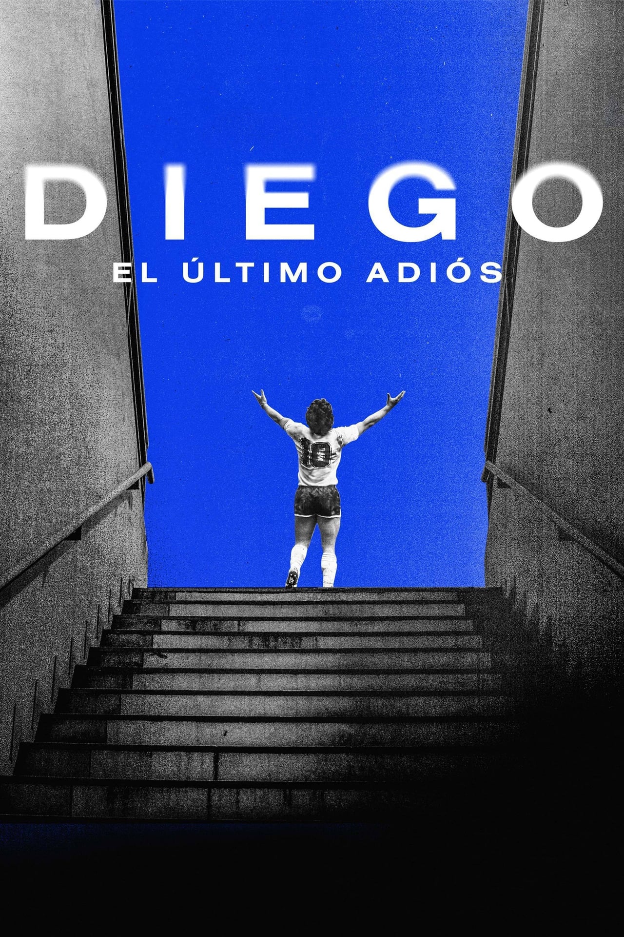 Películas Diego, El último adiós