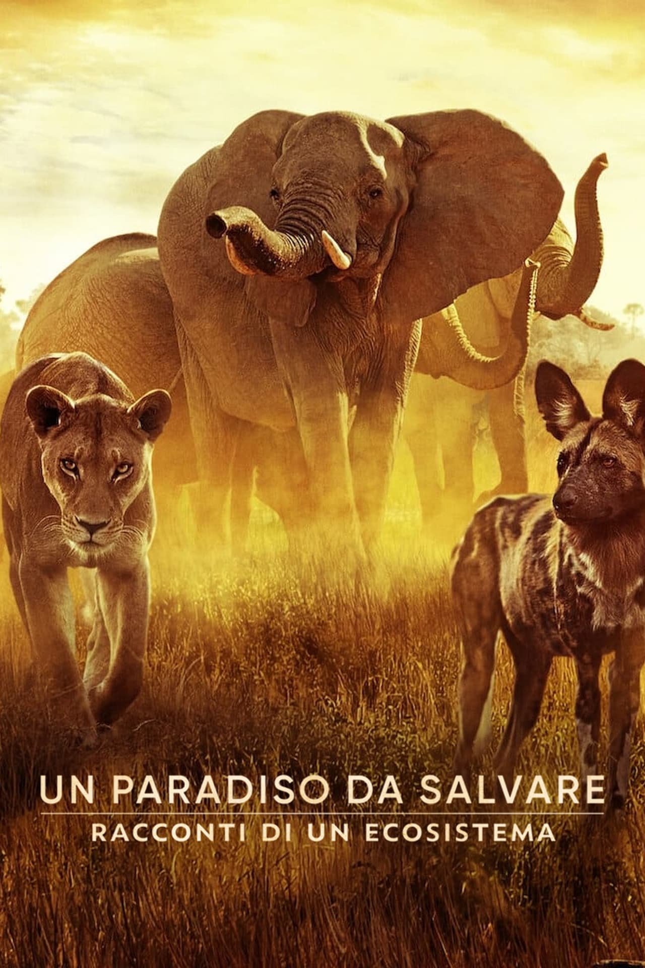 Movie El paraíso que sobrevive: Un legado familiar