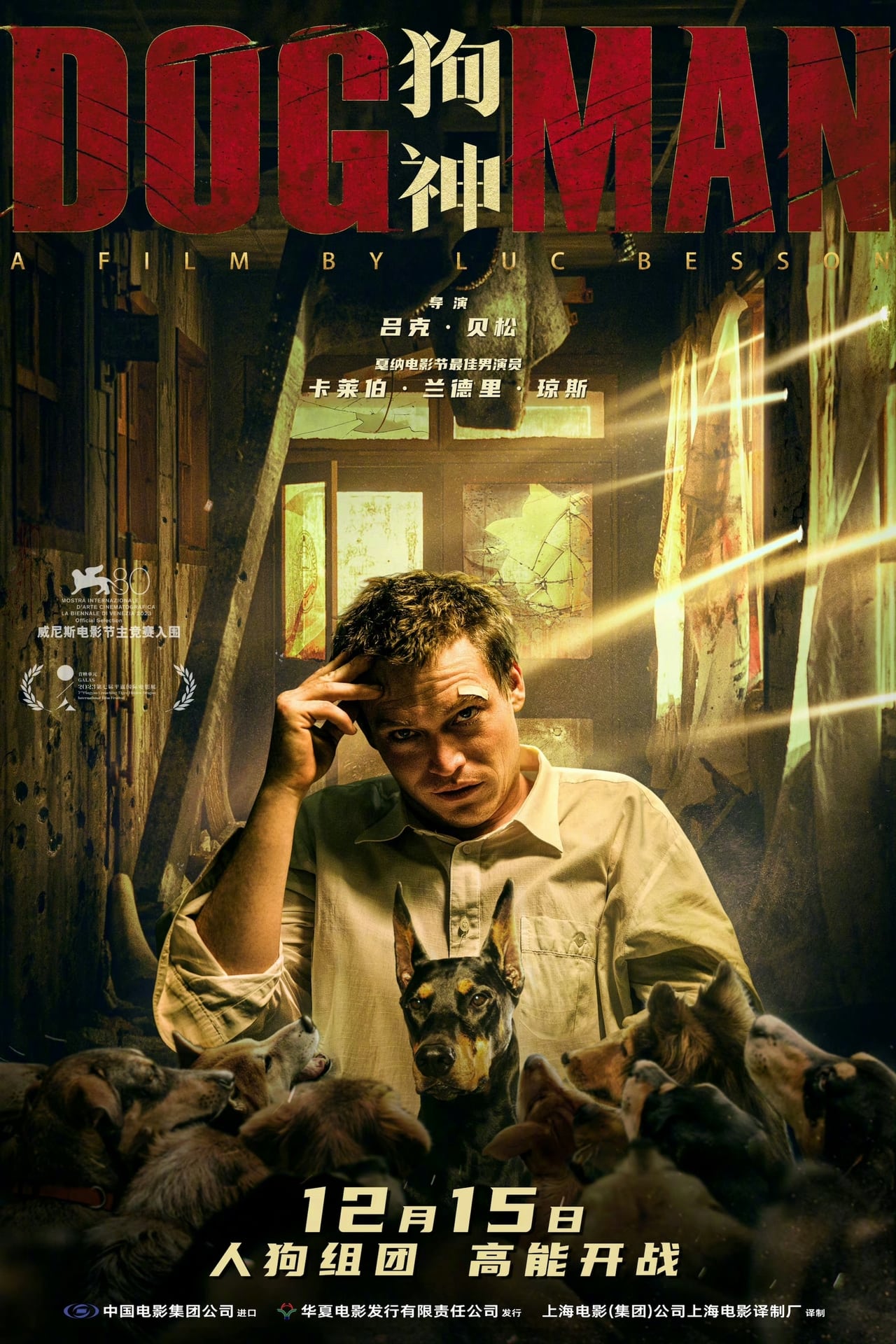 Película Dogman