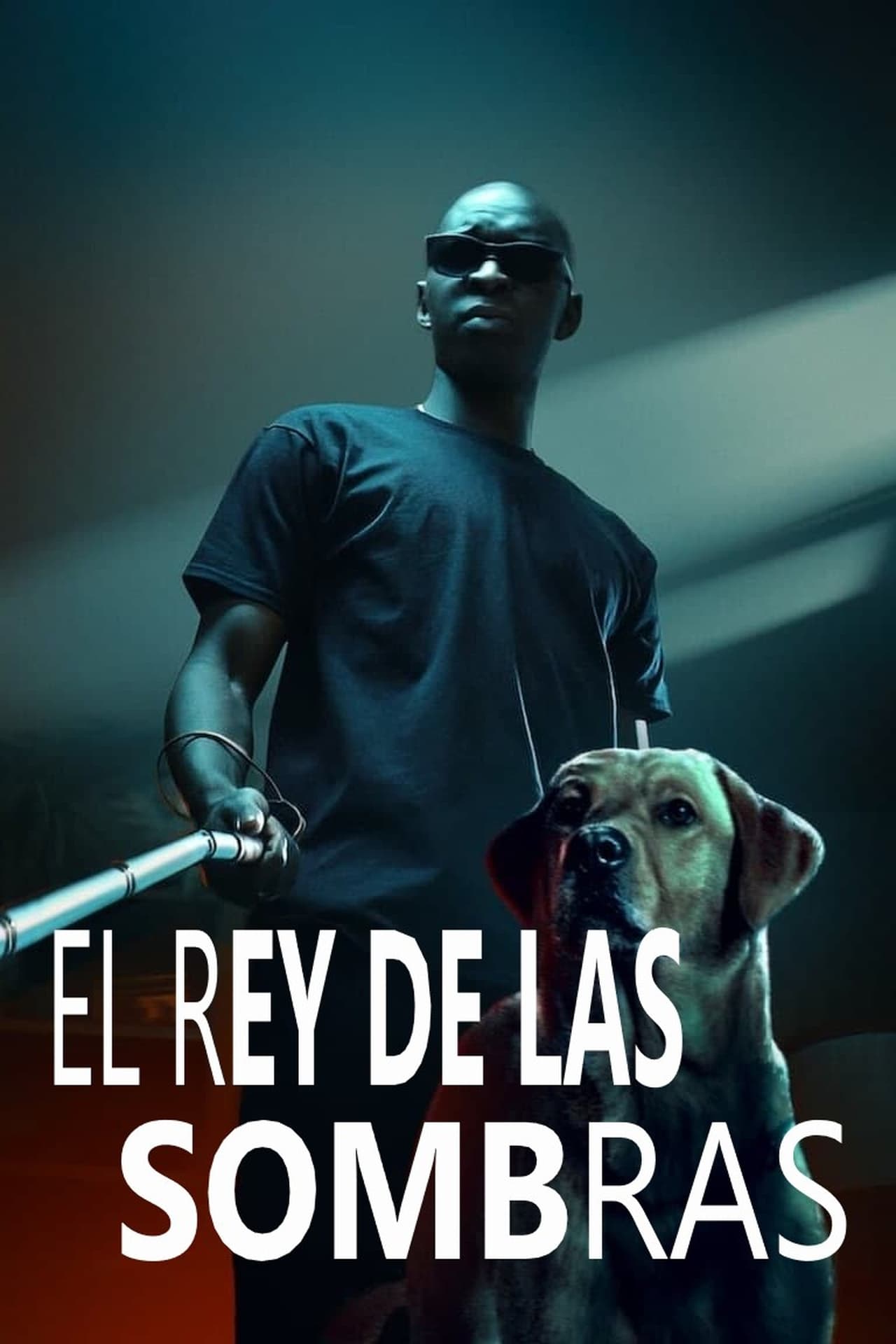 Movie El rey de las sombras