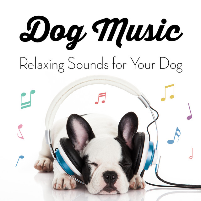 Music Instrumental Music for Dogs