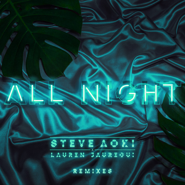 Music All Night - Steve Aoki Remix