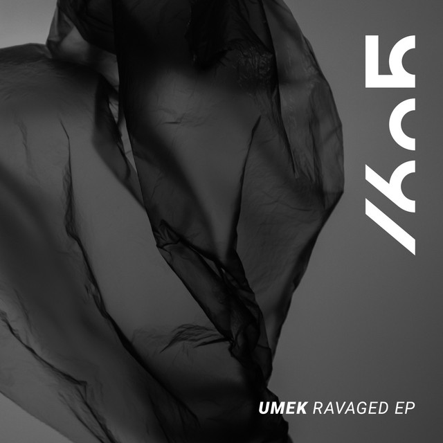 Music Ravaged - Original Mix