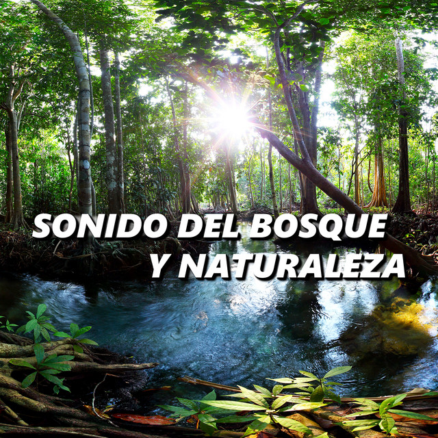 Canción Sonidos de la Naturaleza