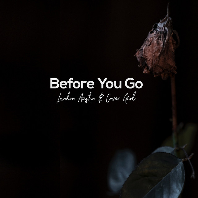 Music Before You Go (Acoustic)