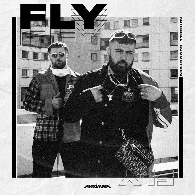 Canción FLY