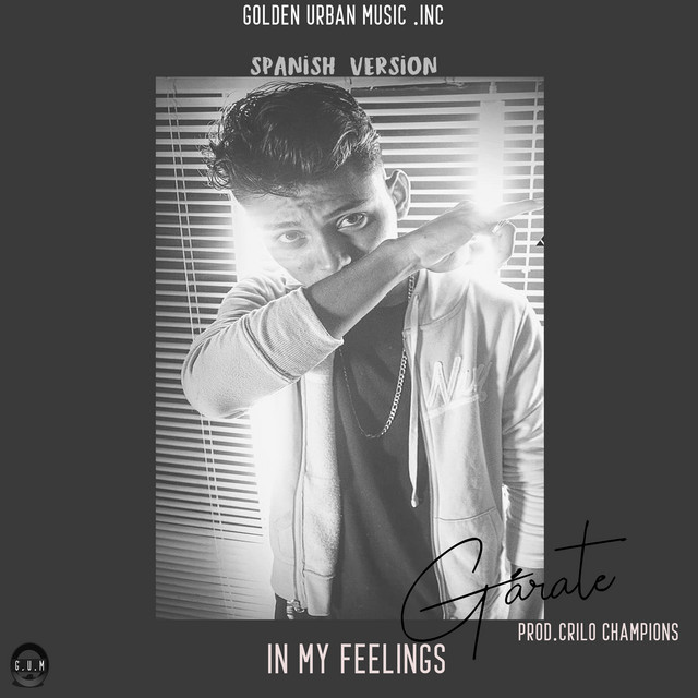 Canción In my feelings (Spanish Version)