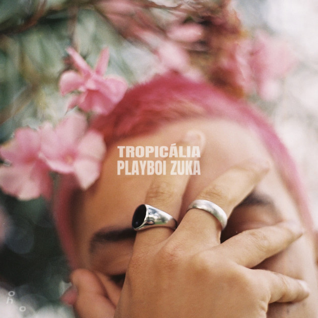 Canciones Tropicália