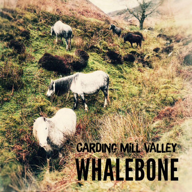 Canciones Carding Mill Valley