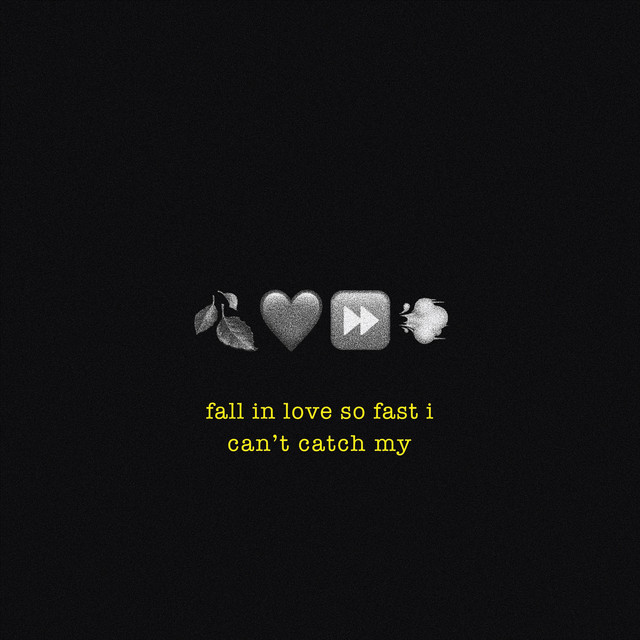 Canción fall in love