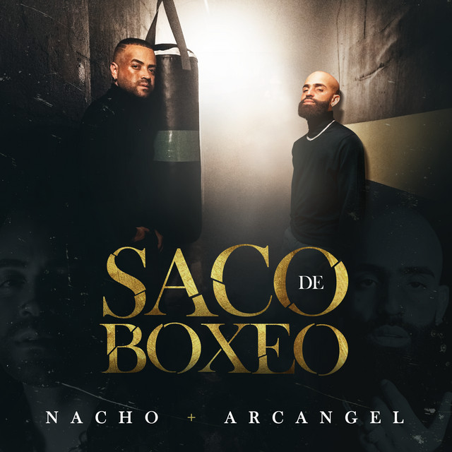 Canción Saco De Boxeo