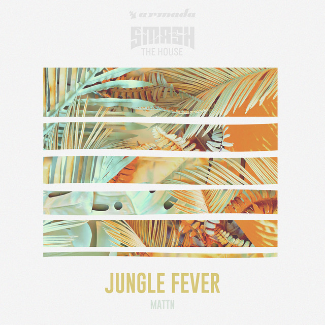 Music Jungle Fever