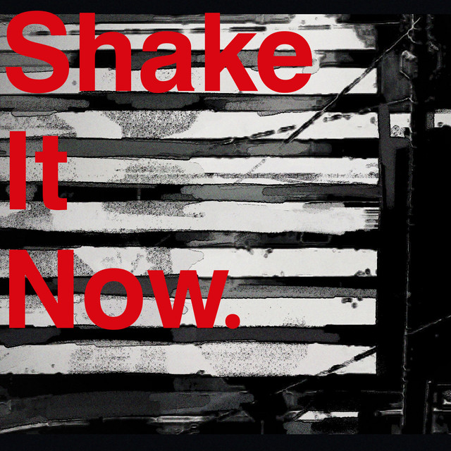 Canciones Shake It Now.