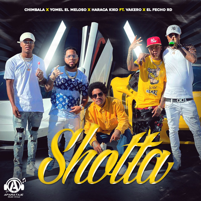 Canción Shotta