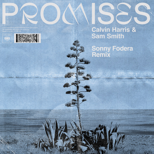 Canción Promises - Sonny Fodera Remix