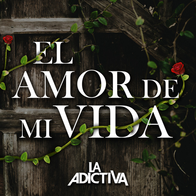 Canción El Amor de Mi Vida