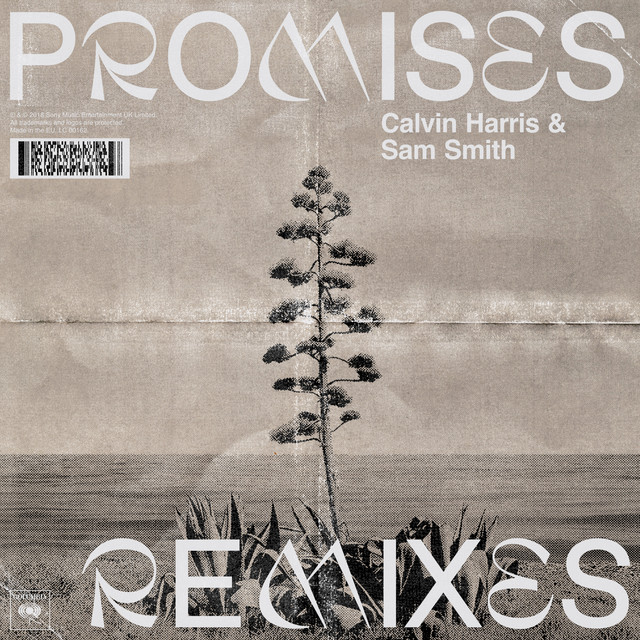 Canción Promises (with Sam Smith) - MK Remix