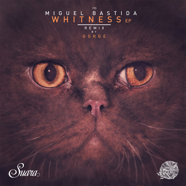 Music Whitness - Original Mix