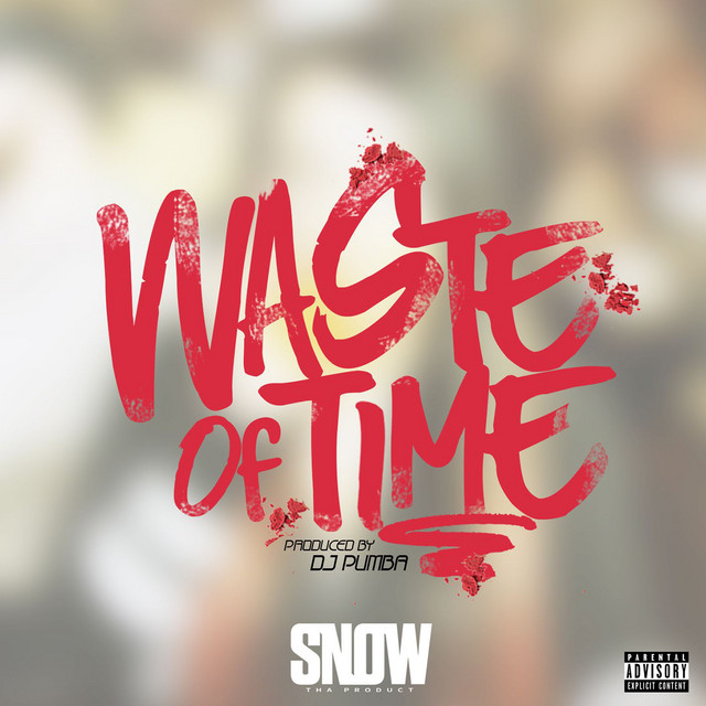 Canción Waste of Time