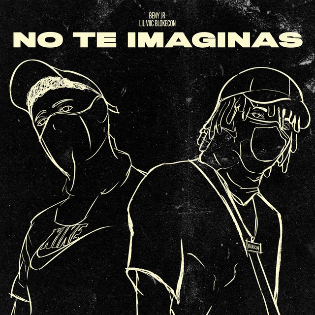 Canción No te imaginas