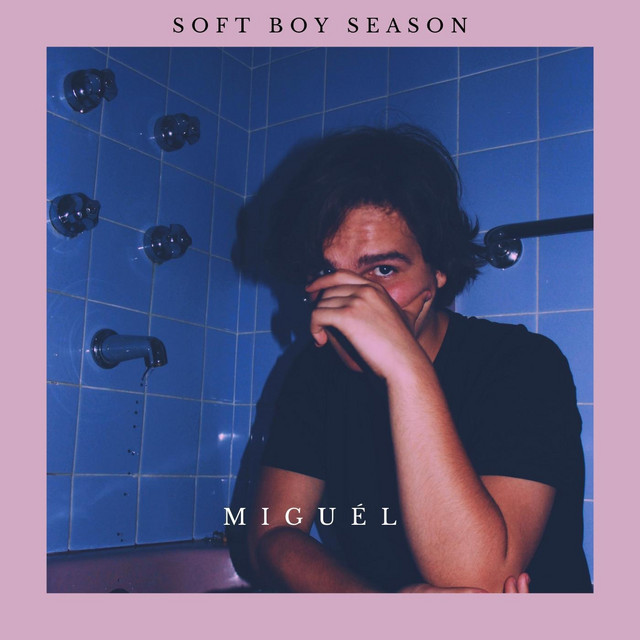 Music Soft Boy Season