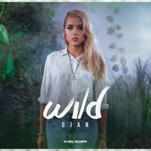 Canción Wild