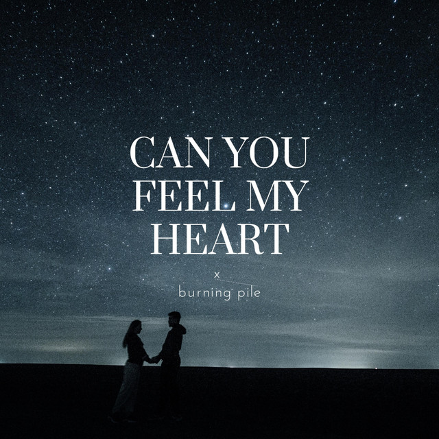 Music can you feel my heart x burning pile