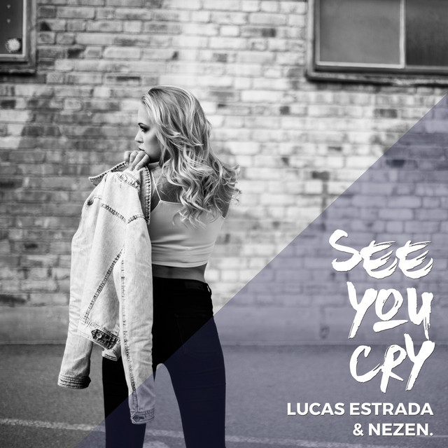 Music See You Cry (feat. Daniel Ceder)