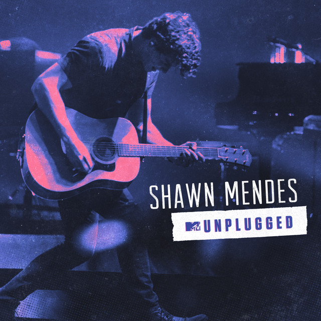 Canción Stitches - MTV Unplugged