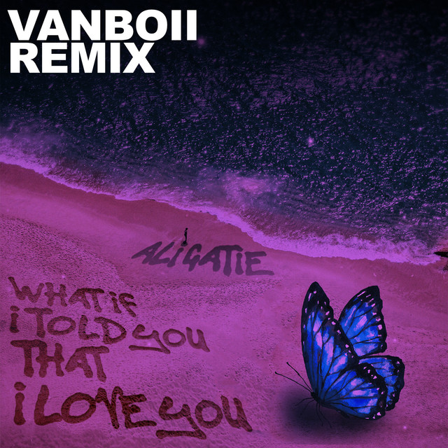 Music What If I Told You That I Love You - Vanboii Remix