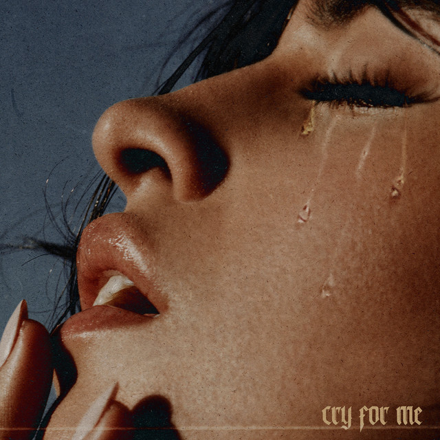 Canción Cry for Me