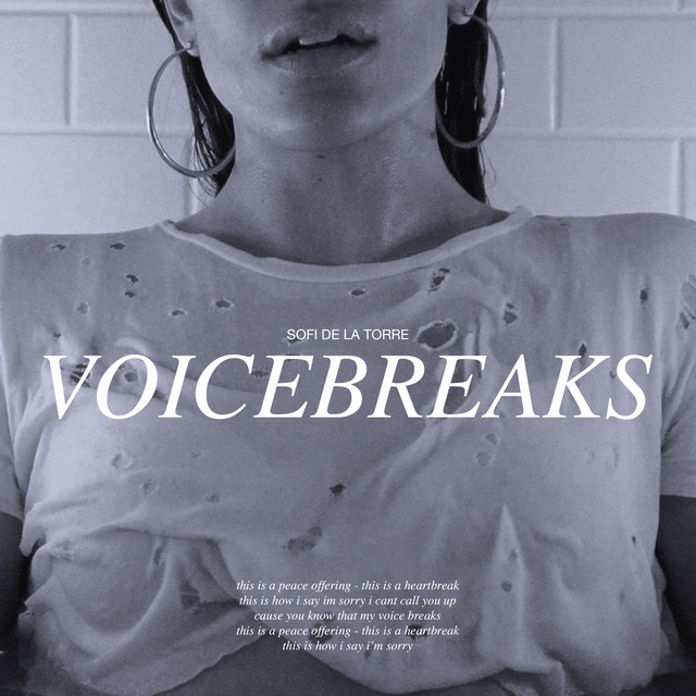 Music Voicebreaks