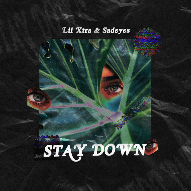 Canción Stay Down