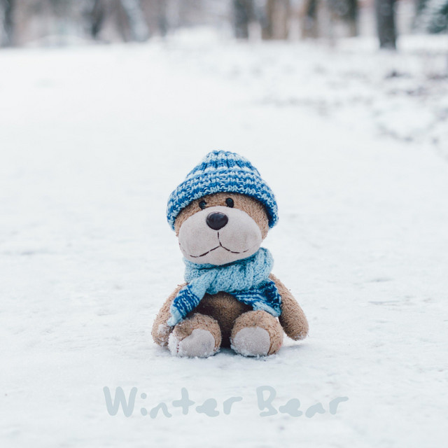 Music Winter Bear